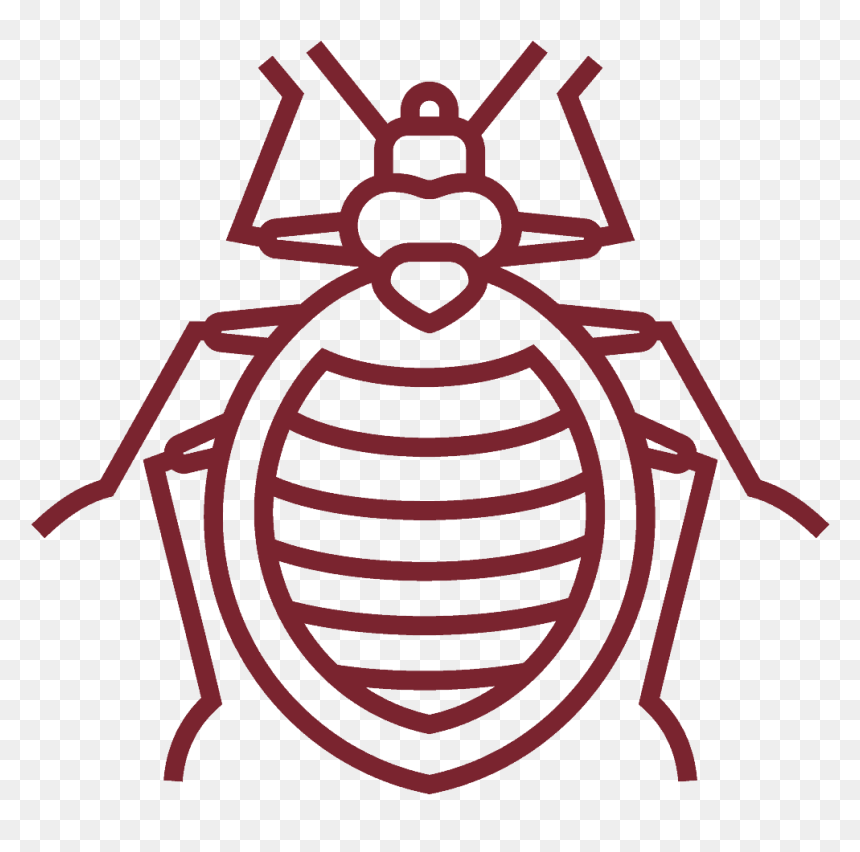 Outline Picture Of Bedbug, HD Png Download - pest png