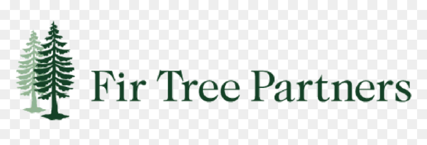 Logo-45 - Christmas Tree, HD Png Download - 45 png