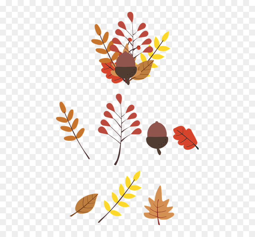 Clip Art, HD Png Download - fall leaf vector png
