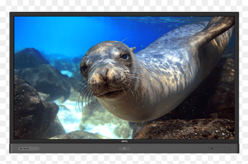Benq Rp860k, HD Png Download - lock .png