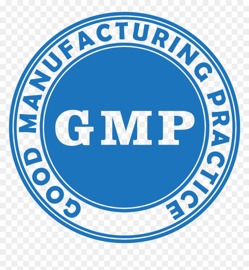 Circle, HD Png Download - gmp png