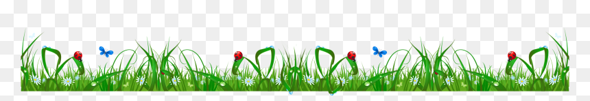 Summer Background, HD Png Download - grass png