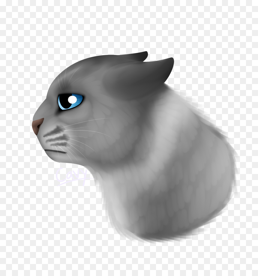 Sadcat Png, Transparent Png - cat png