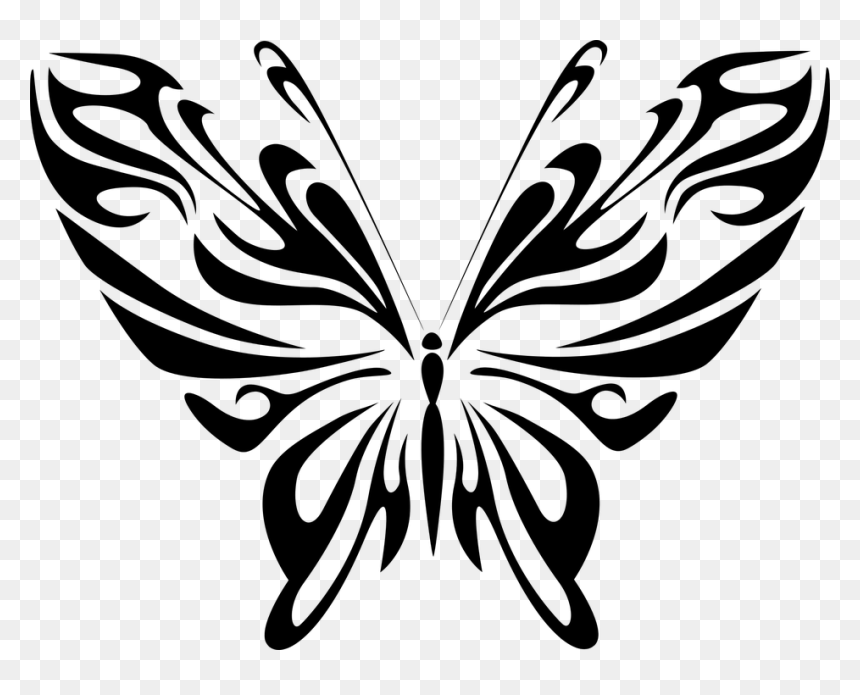 Butterfly Drawing Line Art, HD Png Download - butterfly png