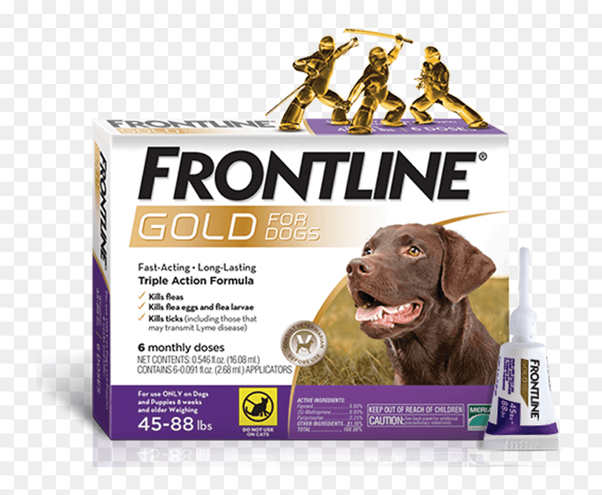 Frontline Gold Feline, HD Png Download - dog png