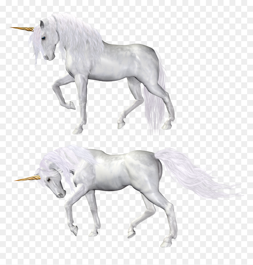Unicorn, HD Png Download - unicorn png