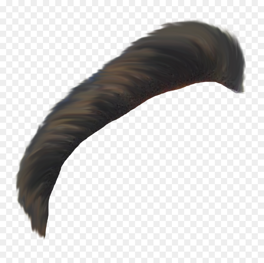 Turkey, HD Png Download - hair png