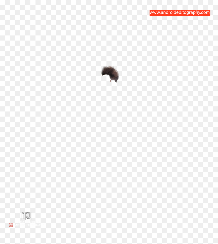 Pyrrharctia Isabella, HD Png Download - hair png