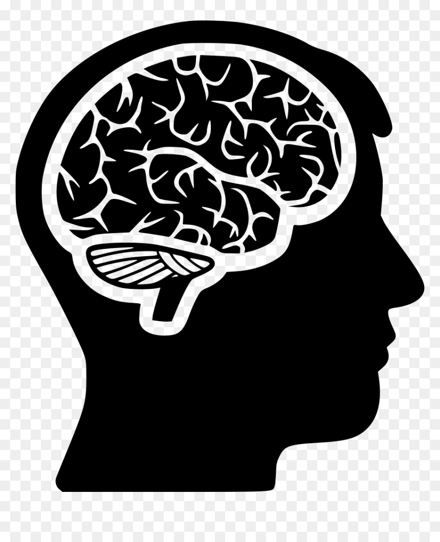 Brain In Head Png, Transparent Png - brain png