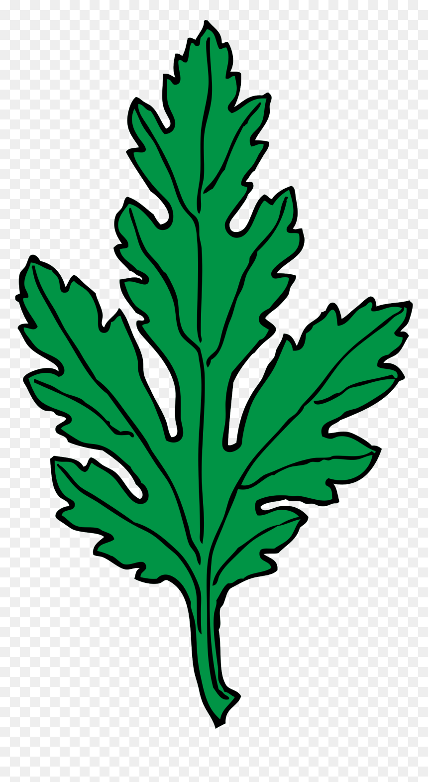 Green Leaf Clip Art, HD Png Download - leaf png