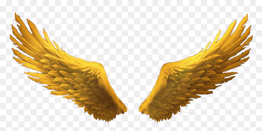 Mom God Saw You Getting Tired, HD Png Download - wings png