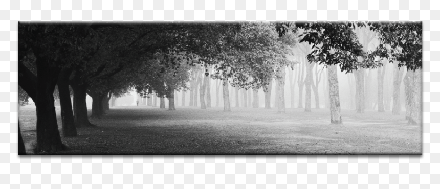 Monochrome, HD Png Download - fog png