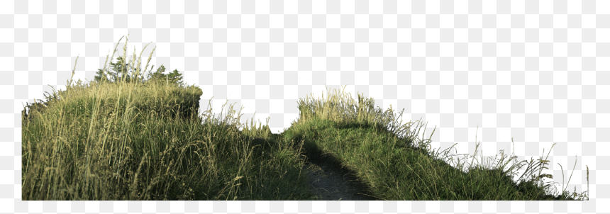 Mountain Grass Png, Transparent Png - transparent png