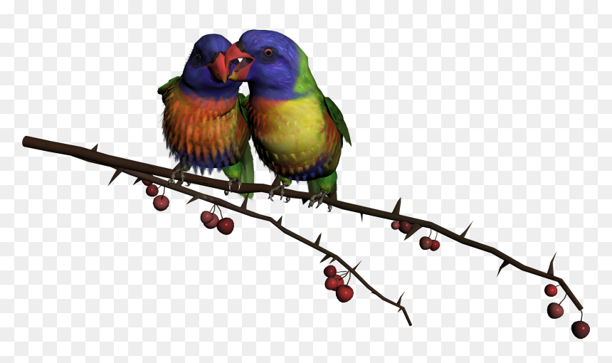 Good Morning Afternoon Evening Night, HD Png Download - bird png