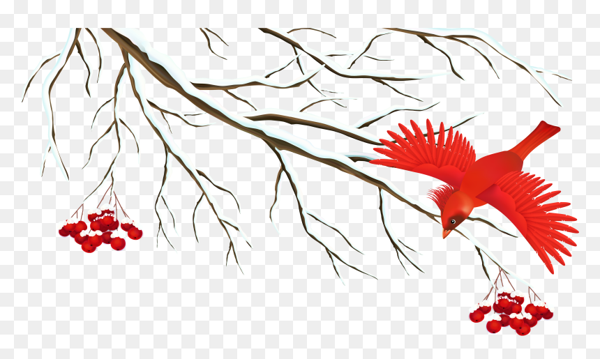Transparent Winter Clip Art, HD Png Download - bird png