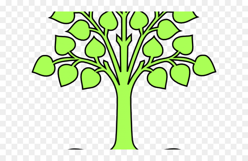 Coloring For Class 8, HD Png Download - trees png