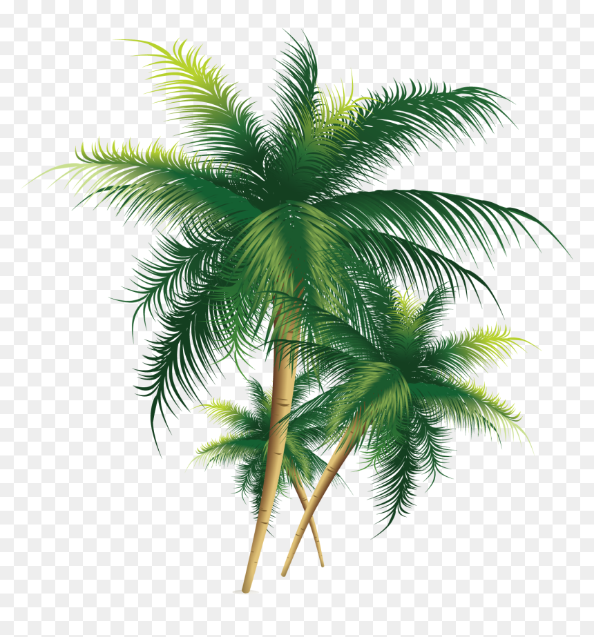 Trees Png, Transparent Png - trees png