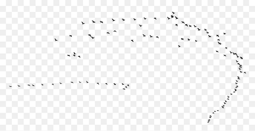 Flock, HD Png Download - birds png