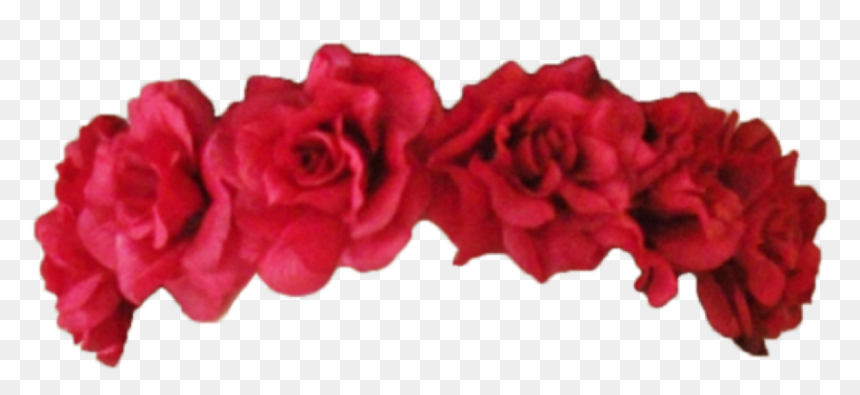 Transparent Background Red Flower Crown, HD Png Download - flower crown png
