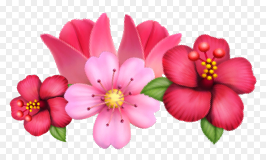 Rosa Glauca, HD Png Download - flower crown png