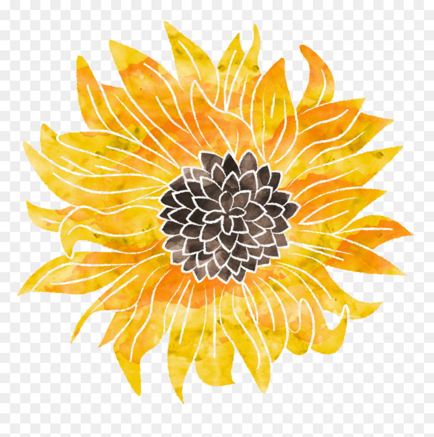 Sunflower, HD Png Download - sunflower png