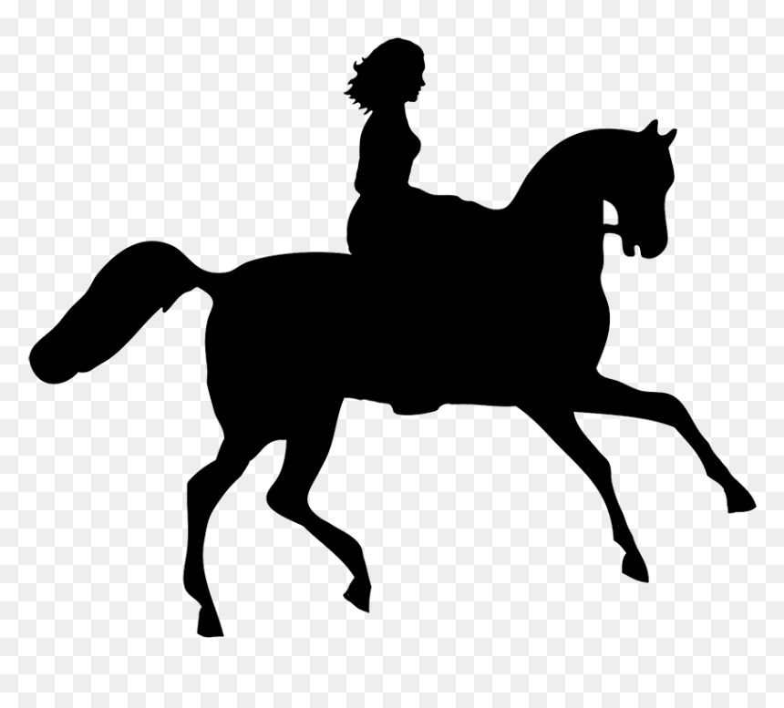 Silhouette Of A Unicorn, HD Png Download - horse png