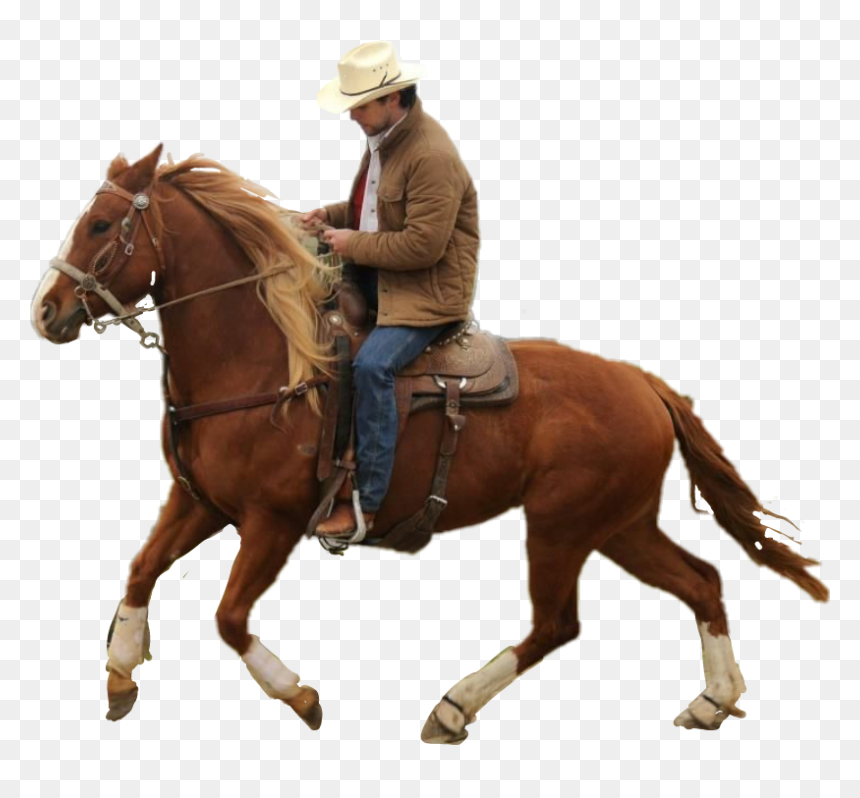 Montar A Caballo Hombre, HD Png Download - horse png