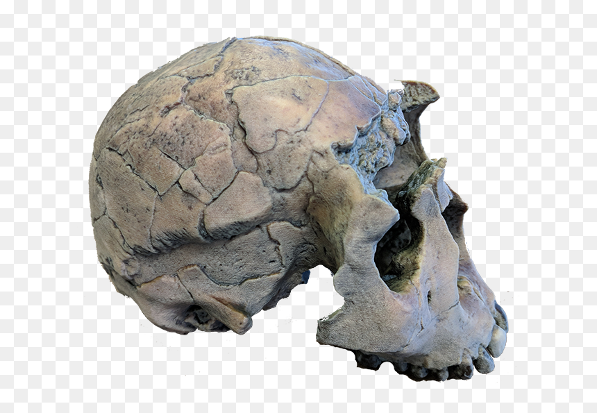 Igneous Rock, HD Png Download - rock png