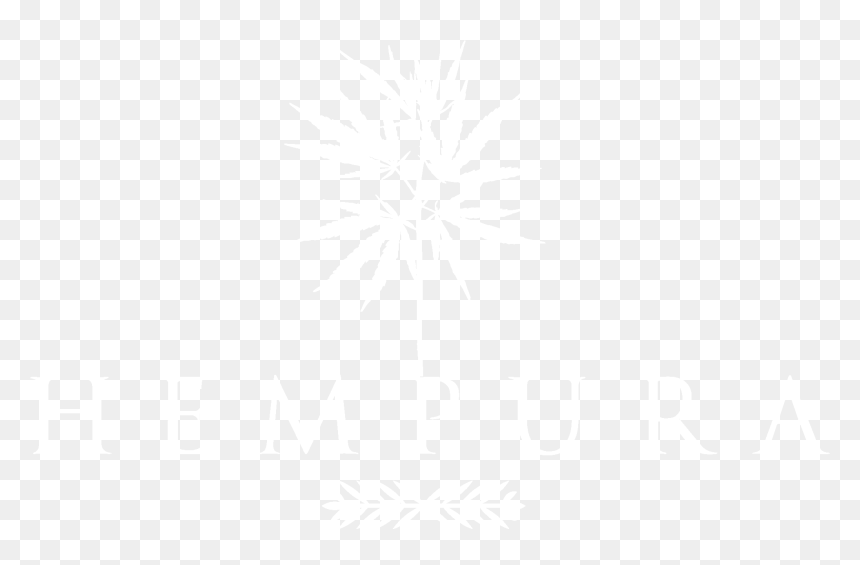 Johns Hopkins Logo White, HD Png Download - google logo white png