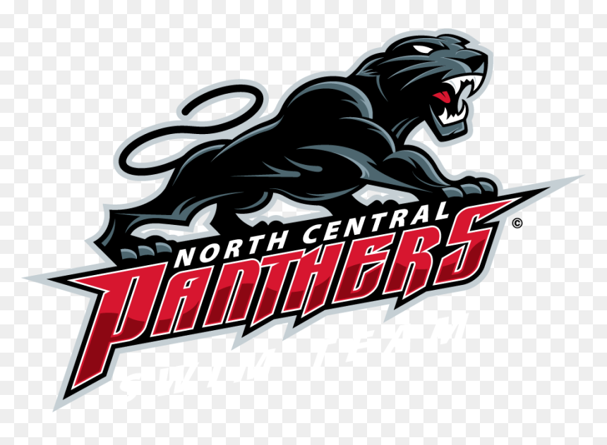 Graphic Design, HD Png Download - panthers logo png