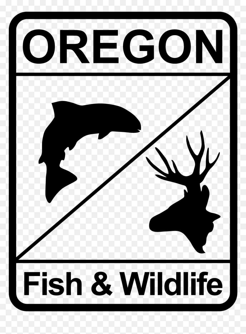 Odfw Fixes Glitches - Oregon Department Of Fish And Wildlife, HD Png Download - glitches png