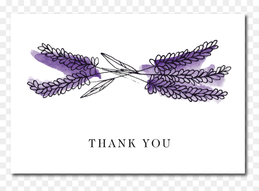 Lavender Thank You Card"
 Class="lazyload Lazyload - Sketch, HD Png Download - lavender ribbon png