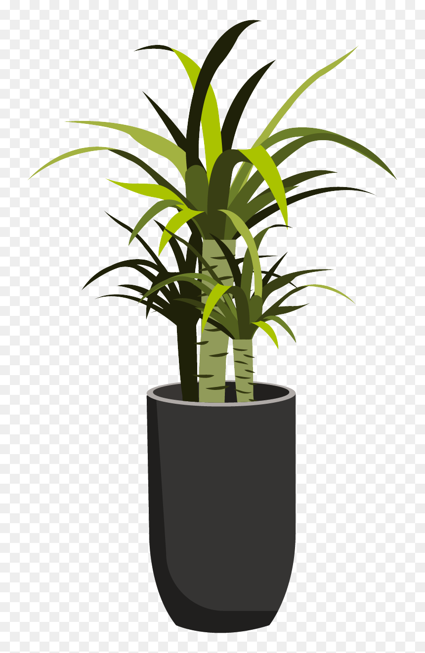 Plants, HD Png Download - yucca plant png