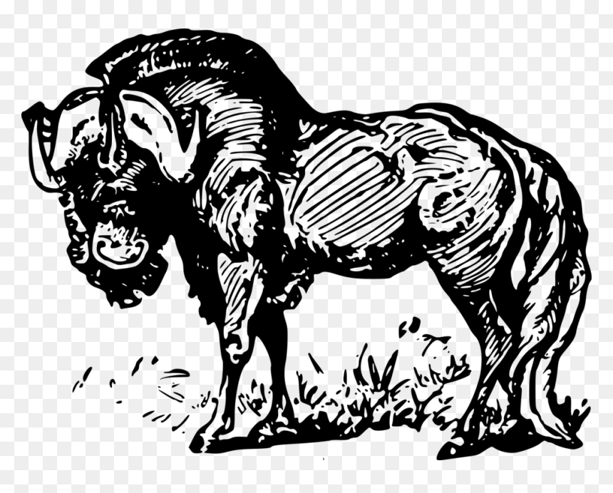 Line Art,wildlife,art - Stallion, HD Png Download - arts png