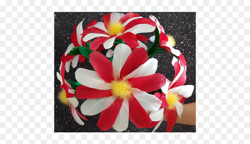 Diyana Flower By Black Magic - Common Zinnia, HD Png Download - flower png pack