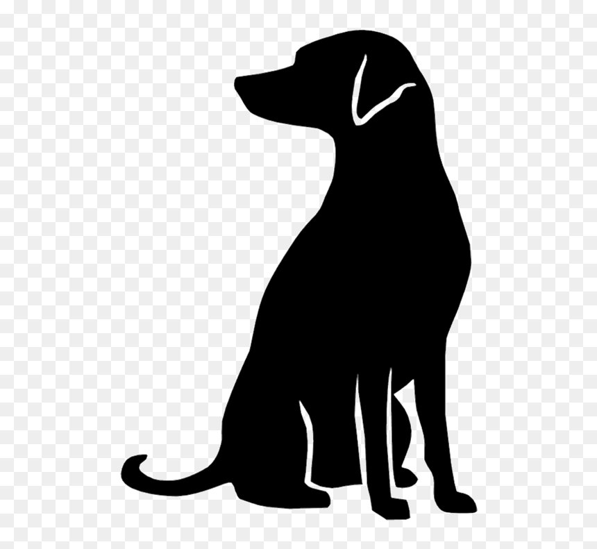 Dog Nose Png- - Dog Catches Something, Transparent Png - alice in wonderland silhouette png