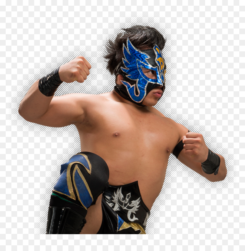 Dinastía - Imagenes De Dinastia Luchador, HD Png Download - luchador png