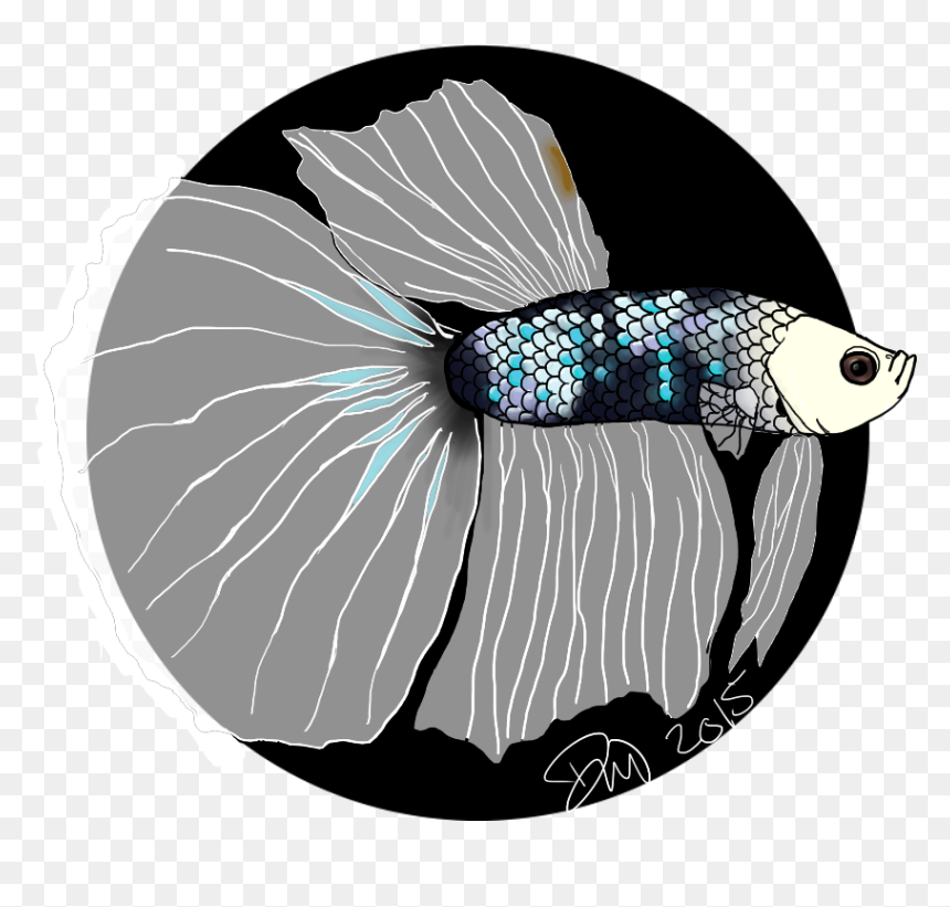 Fenris The Betta - Illustration, HD Png Download - betta png