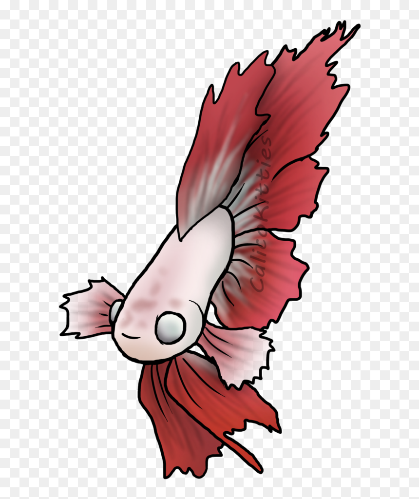 Clipart Transparent Download Betta Drawing Feather - Illustration, HD Png Download - betta png