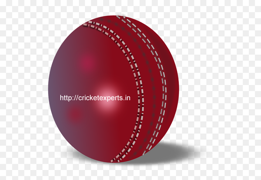 Cricket Bat With Ball Png, Transparent Png - vuvuzela png