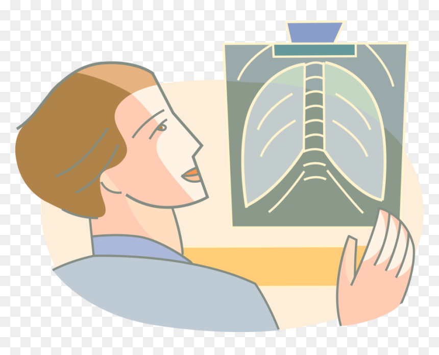 Vector Illustration Of Medical Doctor Physician Examines - Illustration, HD Png Download - rays vector png