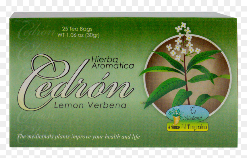 Jasmine, HD Png Download - hierba png