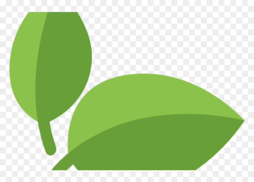 Iconos Png Plantas Medicinales, Transparent Png - hierba png