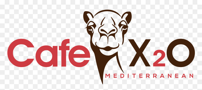 Cafe X2o Ribbon Cutting Ceremony - Cafe X20, HD Png Download - home decor png