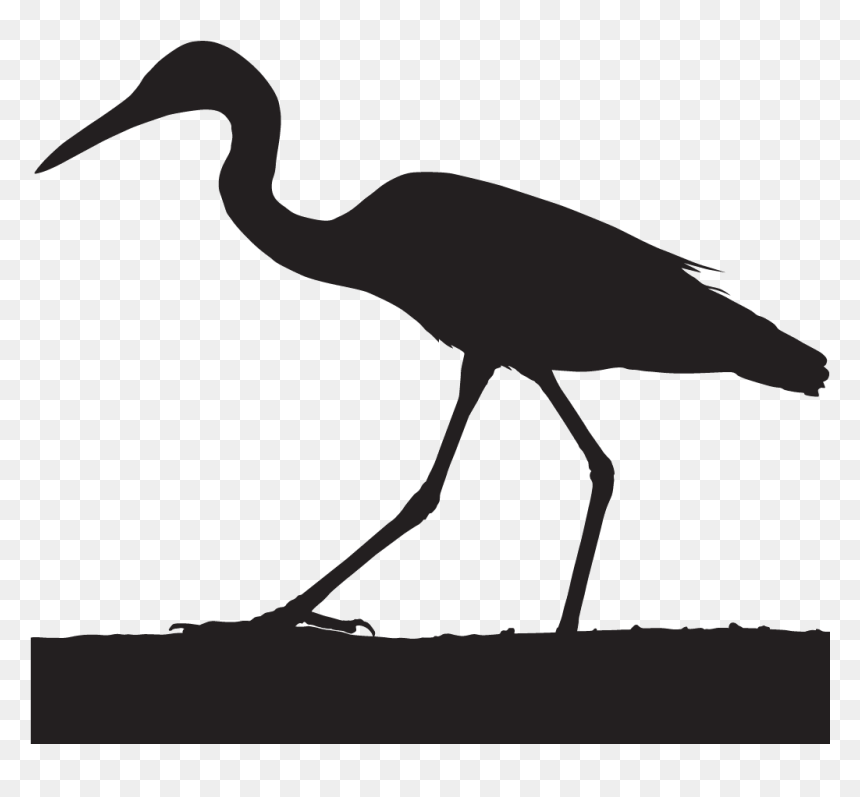 Cattle Egret Crane Bird Head Silhouette- - Cattle Egret Silhouette Png, Transparent Png - horse head silhouette png