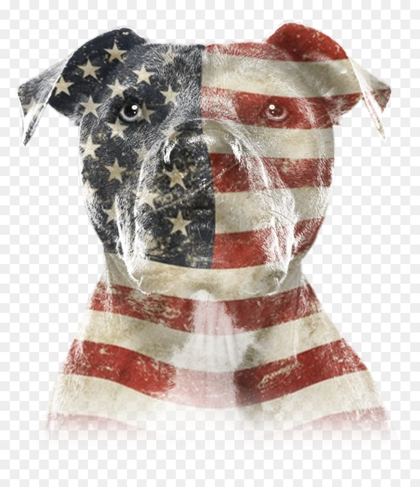 Pitbull Png, Transparent Png - usa flag vector png