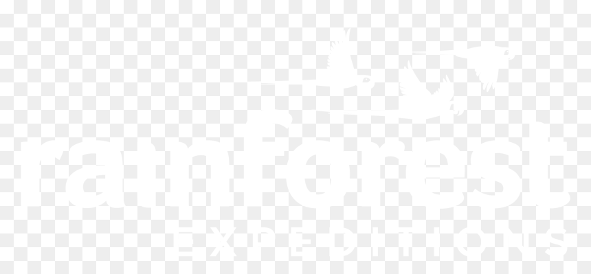 Graphic Design, HD Png Download - lomo saltado png