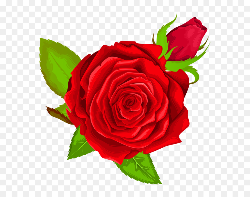 Red Rose Decorative Png Clip Art Image - Purple Rose Png, Transparent Png - red rose transparent png