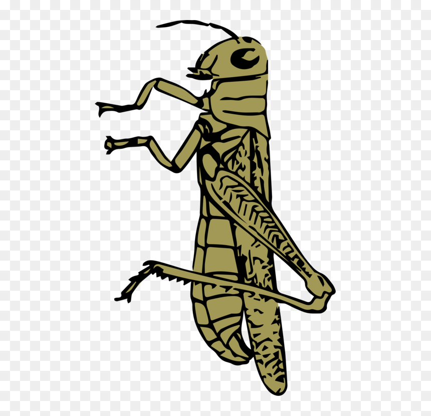 Art,tree,plant - Grasshopper On Tree Drawing, HD Png Download - space clipart png