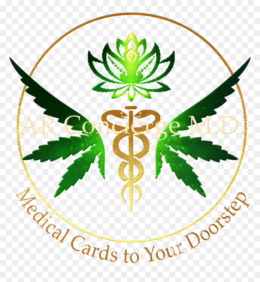 Vector Graphics, HD Png Download - medico png